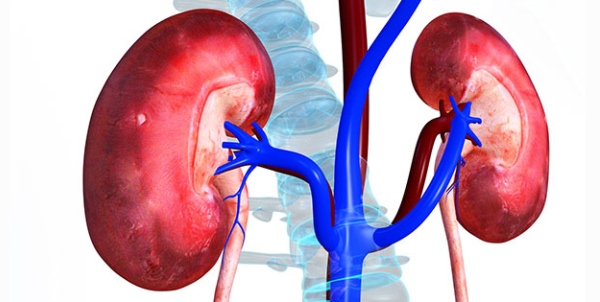 Xét nghiệm chức năng thận Xét nghiệm chức năng thận
