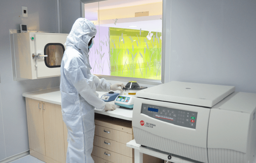 Quy trình xét nghiệm ADN 2 Quy trình xét nghiệm ADN 2